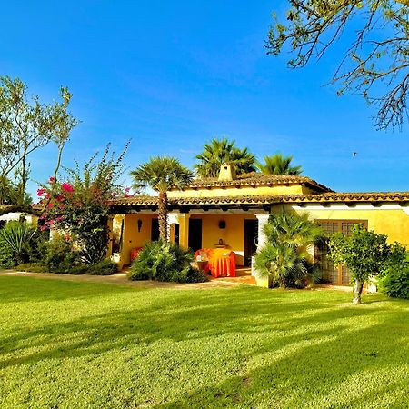 Luxury Villa Silene Con Piscina Salata E Ampio Giardino A Castelvetrano Selinunte, Sicilia מראה חיצוני תמונה